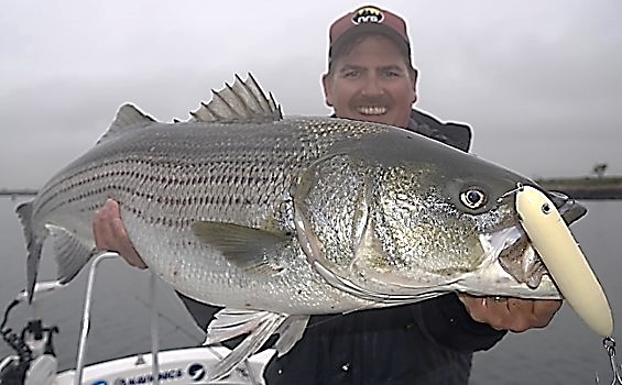 Seasons – One More Cast Light Tackle Charters Charters